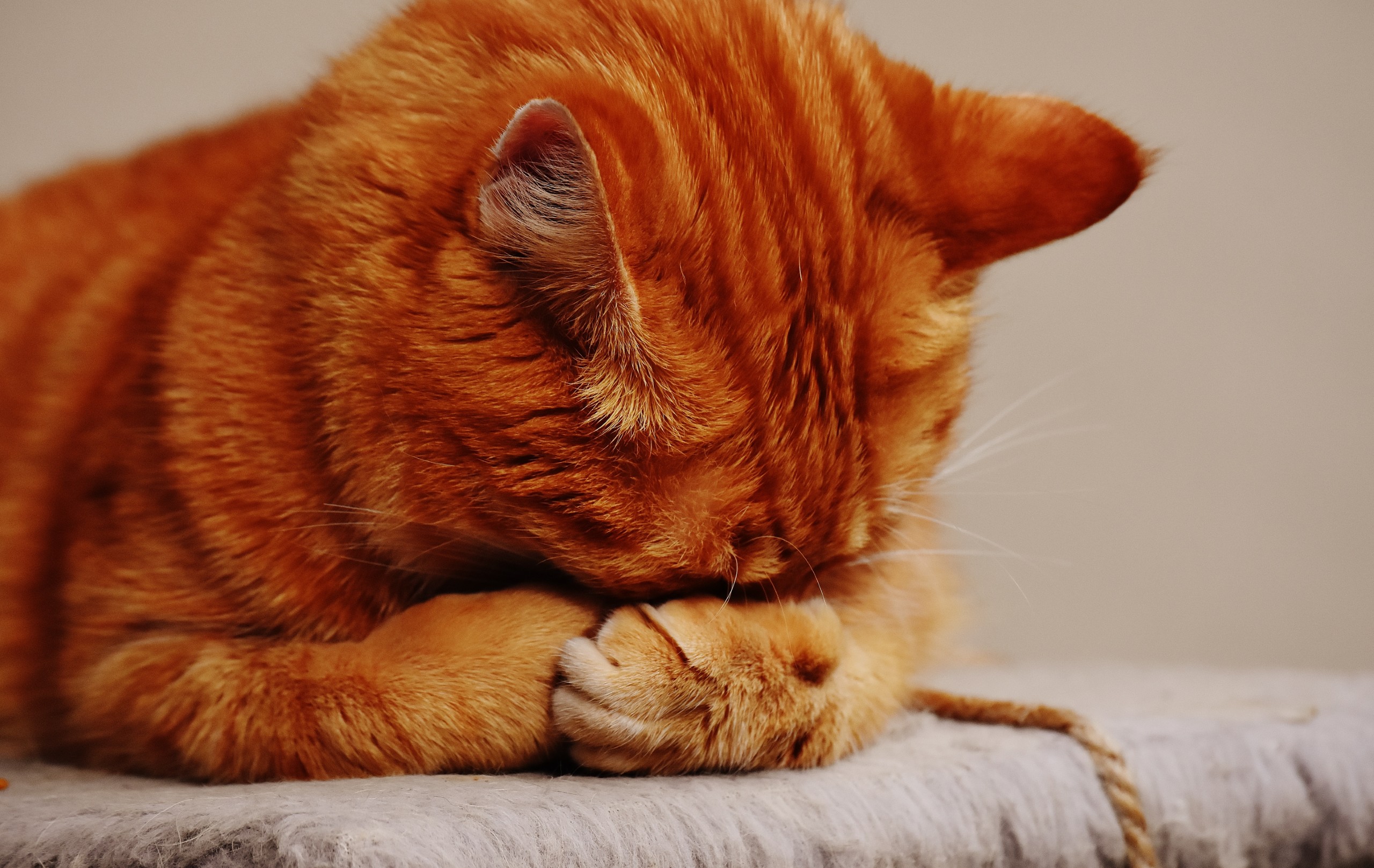 Getting your inner critic onside