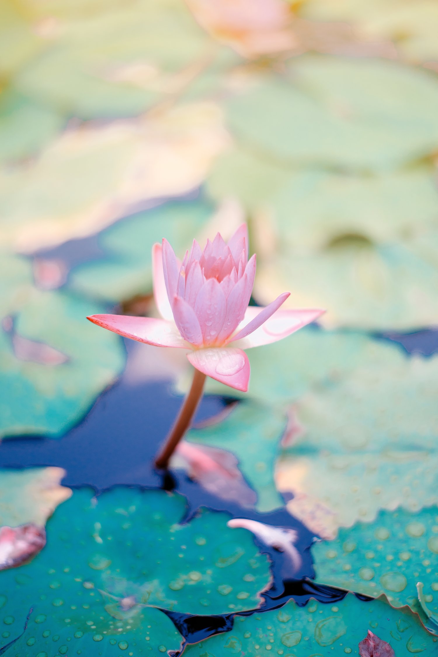Being mindful benefits the body, the mind and the soul