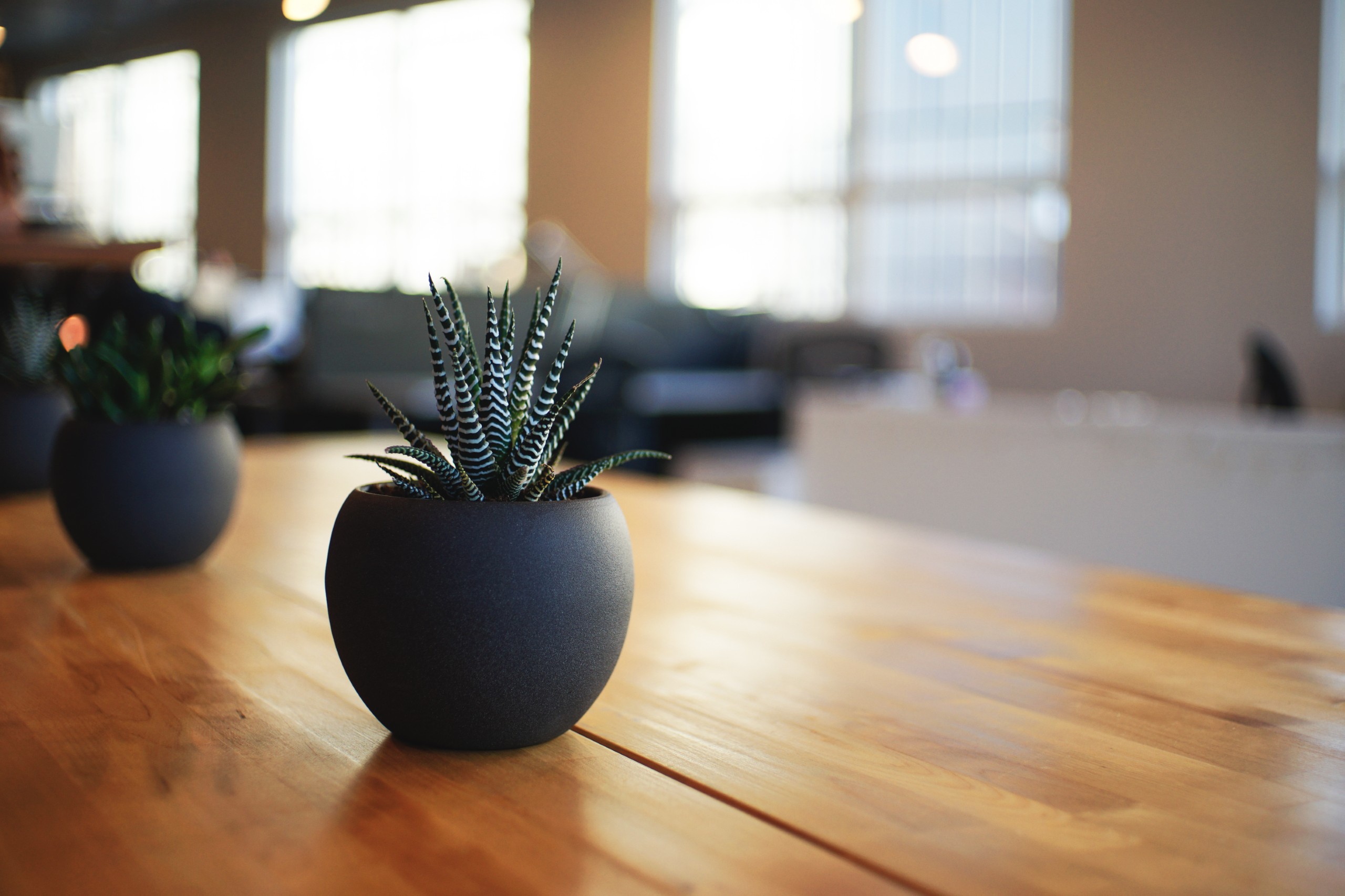 Declutter your space, declutter your mind